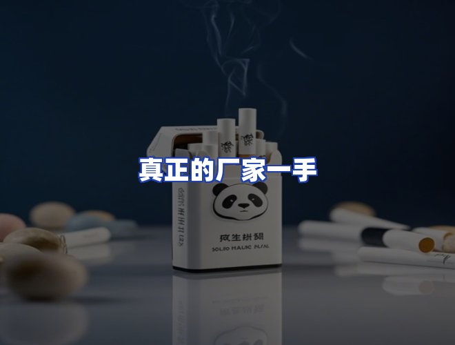 专业团队